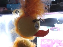 yellow walking bird 75 b